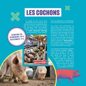 exposition L214 nourrir l'humanité, l'élevage des cochons